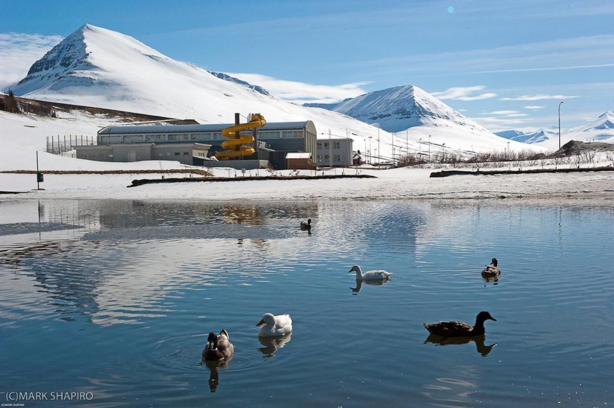 The Northern Comfort Inn Olafsfjordur 외부 사진